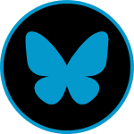 Butterfly logo representing Film Division video production and filmmaking services.