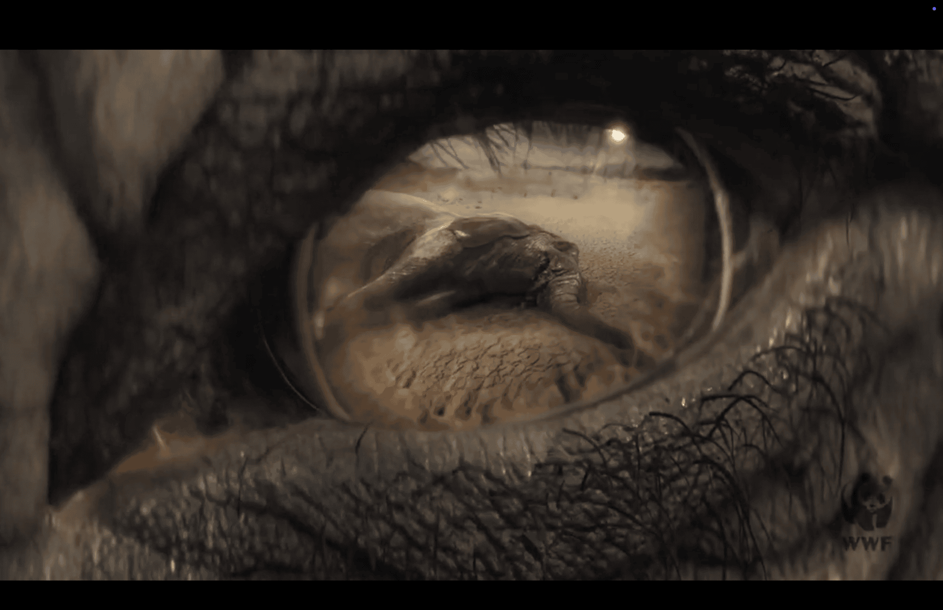 5-brilliant-corporate-marketing-videos-that-inspire-real-change