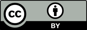 Copywright Video